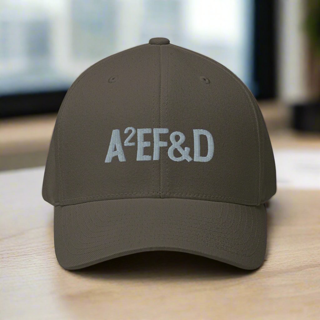 Against All Enemies Fitted Twill Cap