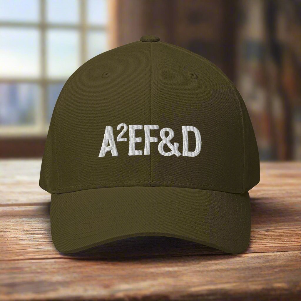 Against All Enemies Fitted Twill Cap