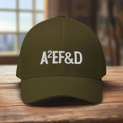 Against All Enemies Fitted Twill Cap