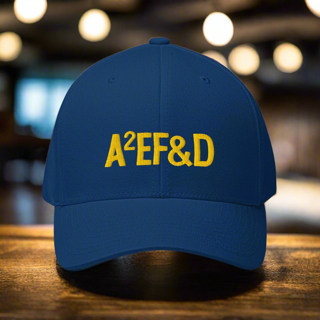 Against All Enemies Fitted Twill Cap